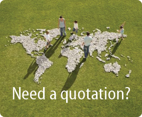 Need A Quotation?